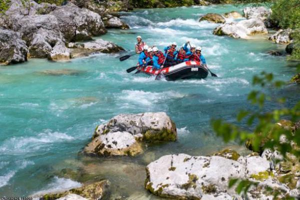 如何撰写一份体育项目承办申请书？