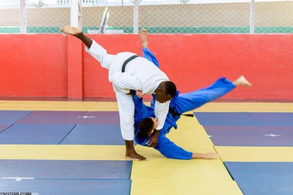 武昌地区体育项目采购公告详解